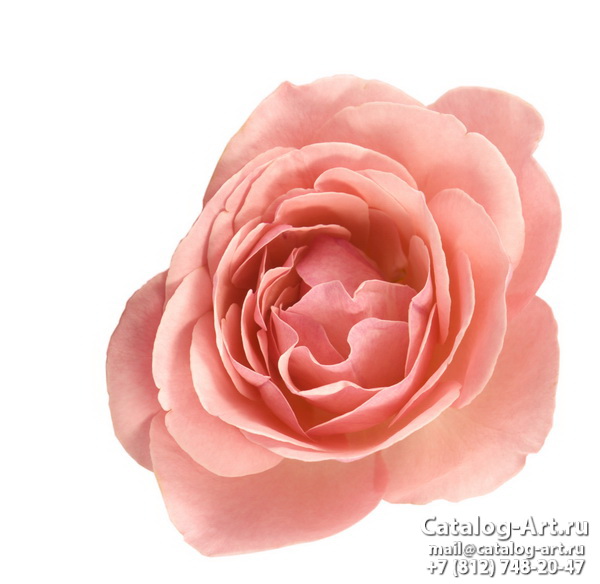 Натяжные потолки с фотопечатью - Розовые розы 4